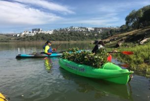 Con kayaks, la limpieza de lirio y basura en presa Madín