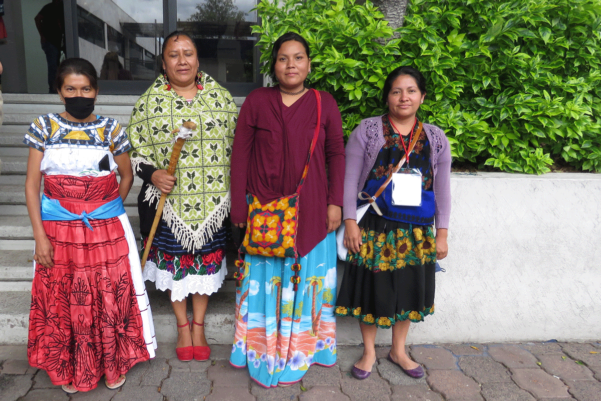 Mujeres indígenas, en el Naucalli