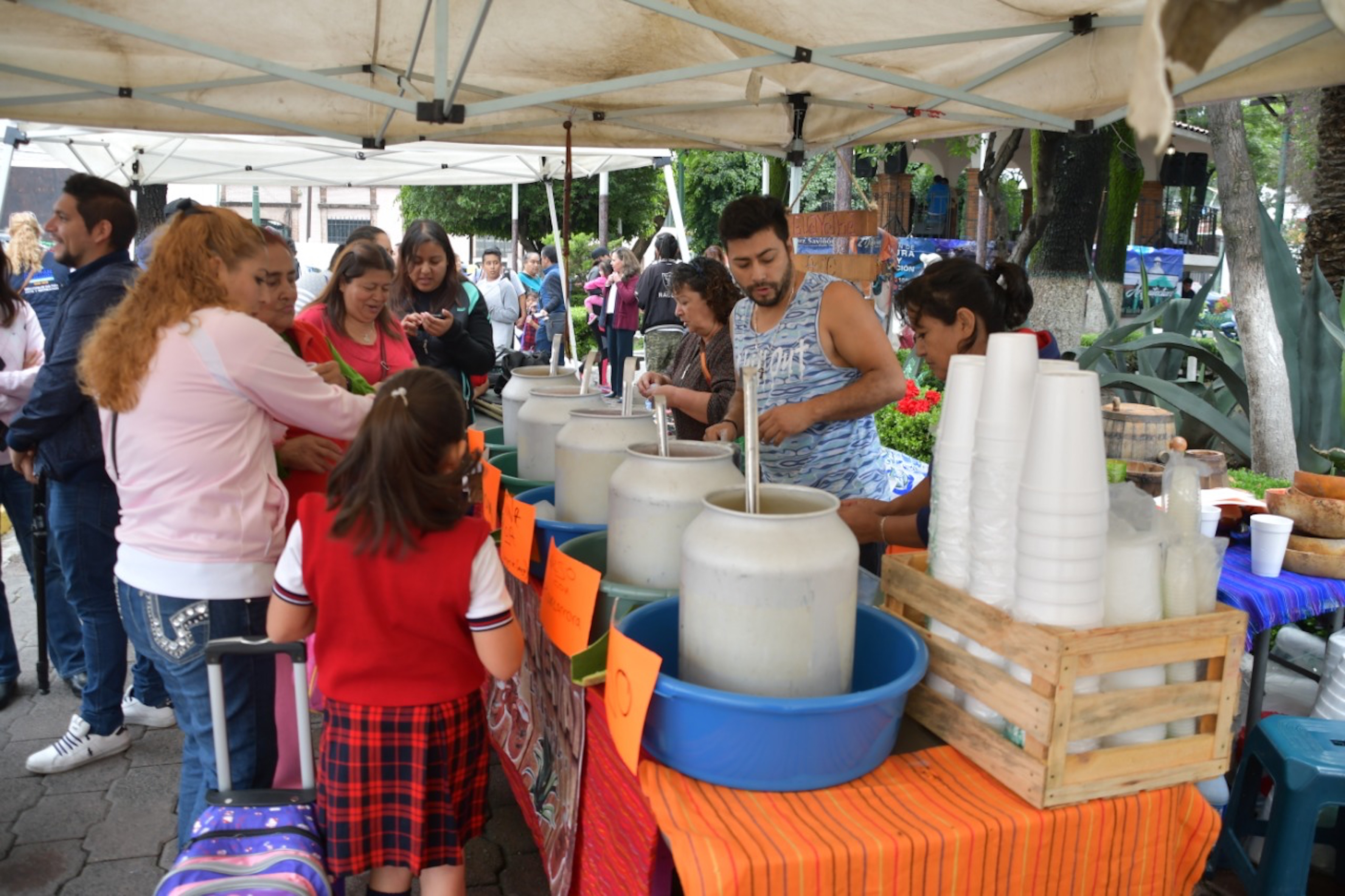 Mechaleros listos para servir la bebida de los dioses en la Feria del Pulque y la Gastronomía en Atizapán