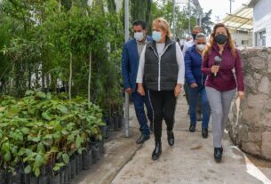 Producirán más árboles en Atizapán de Zaragoza con nuevo invernadero