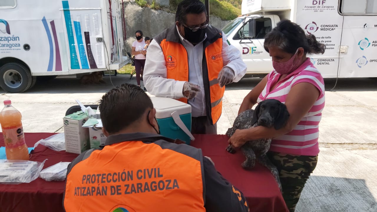 Atención de vacunas y desparasitación a perros y gatos en Atizapán de Zaragoza