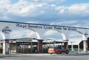 Plazas ganaderas deberán permanecer inactivas en Almoloya de Juárez