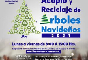 Inician recepción de árboles de Navidad en Huixquilucan