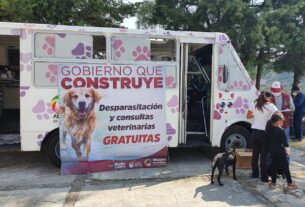 Consultorio móvil para desparasitar mascotas en Atizapán