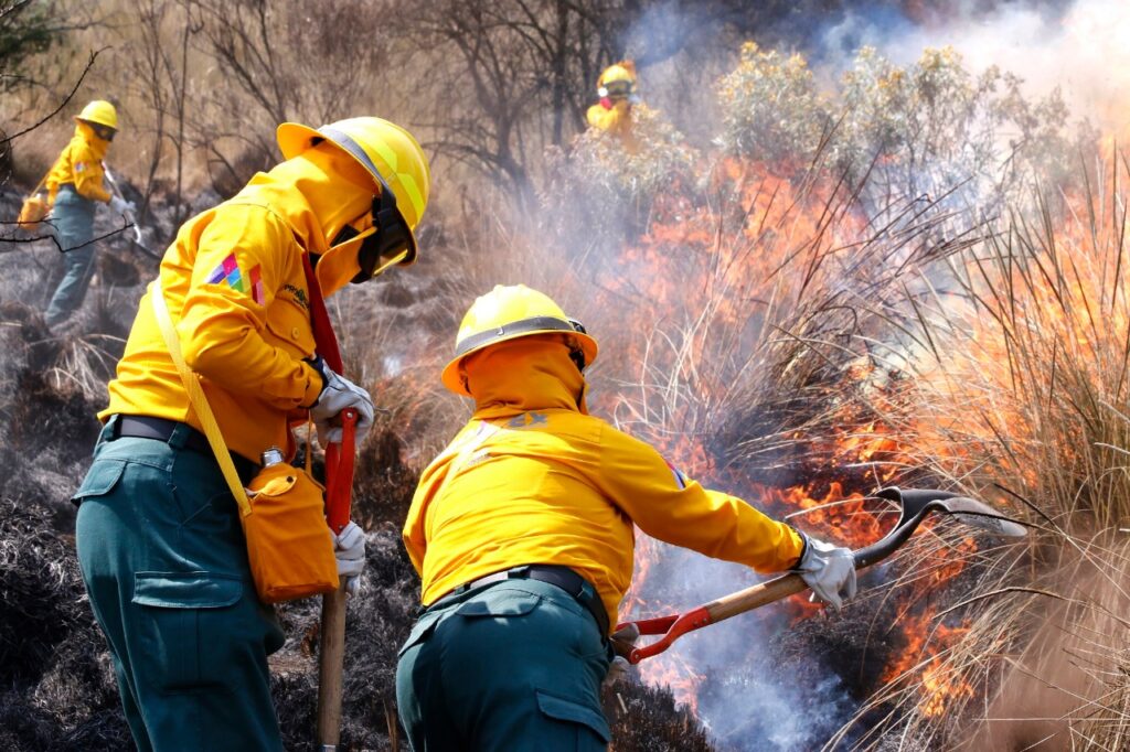 Elementos de PC y Bomberos de Atizapán, Naucalpan, Tlalnepantla y Probosque contra incendios