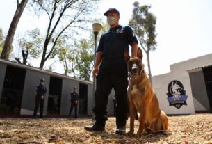 Perros entran a la detección de armas, drogas y cadáveres en Naucalpan