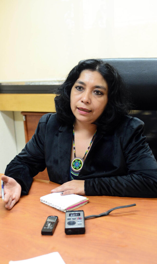 Violeta Rodríguez del Villar, académica del Instituto de Investigaciones Económicas (IIEc)