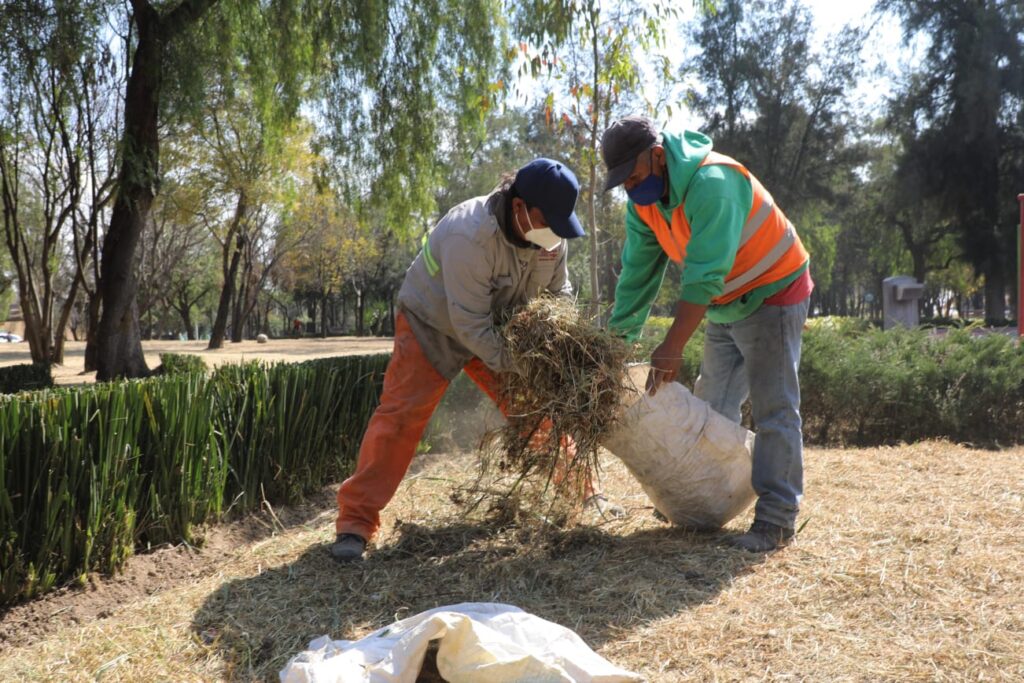 Dejan limpios jardines públicos en Naucalpan