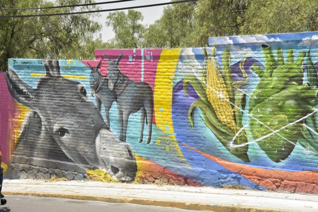 Un mundo mejor en San Isidro Ixhuatepec, Tlalnepantla