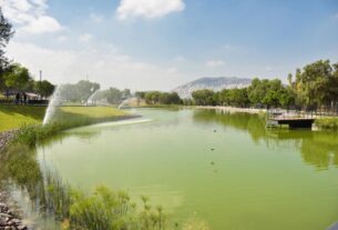 Un lago multiplica lo verde en el Parque de la Ciencia, en Tlalnepantla