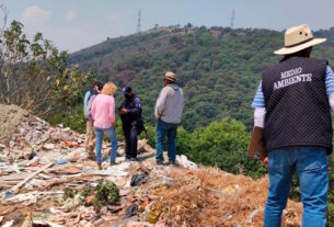 Detienen a 19 por delitos ambientales en Naucalpan, Angélica Moya