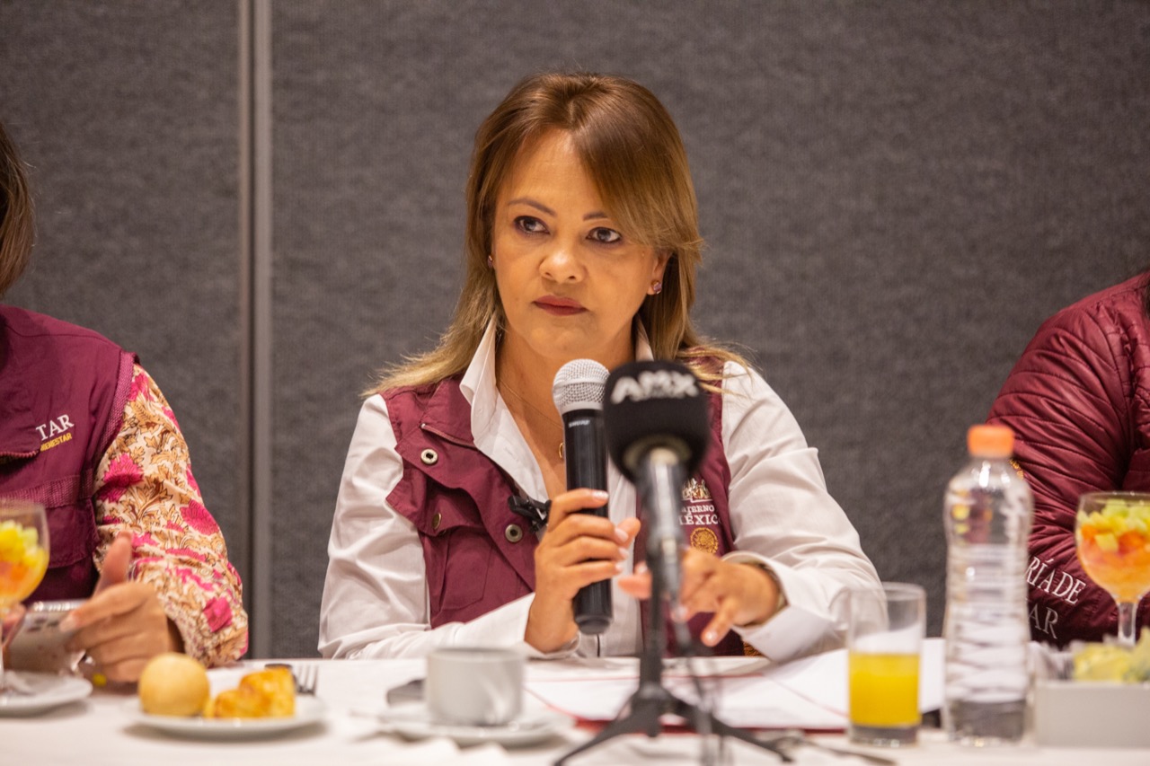 Ofrecen programas federales en Tlalnepantla, Gabriela Valdepeñas