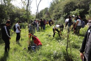 Jóvenes scouts y funcionarios de Naucalpan en reforestación de Los Remedios