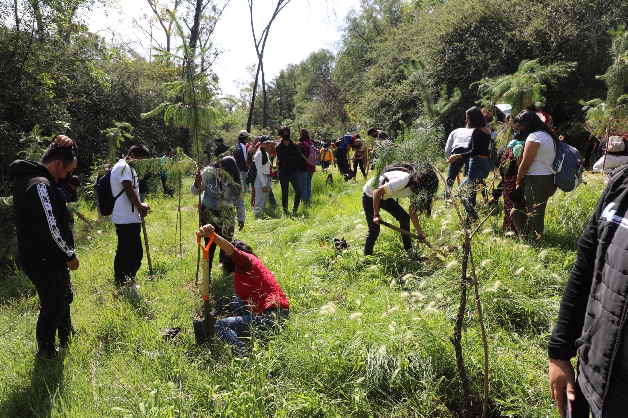 Jóvenes scouts y funcionarios de Naucalpan en reforestación de Los Remedios