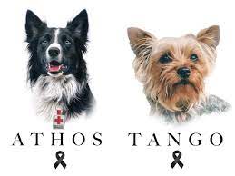 Solo por humanos vivieron Athos y Tango