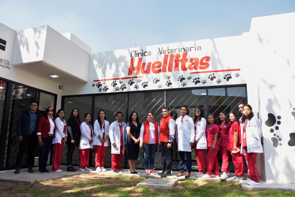 Especialistas que atienen en la primera Clínica Veterinaria Huellitas de Tlalnepantla