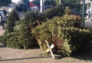 Reciclan árboles en Tlalnepantla