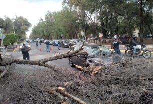 Derrumba árboles el viento en Naucalpan