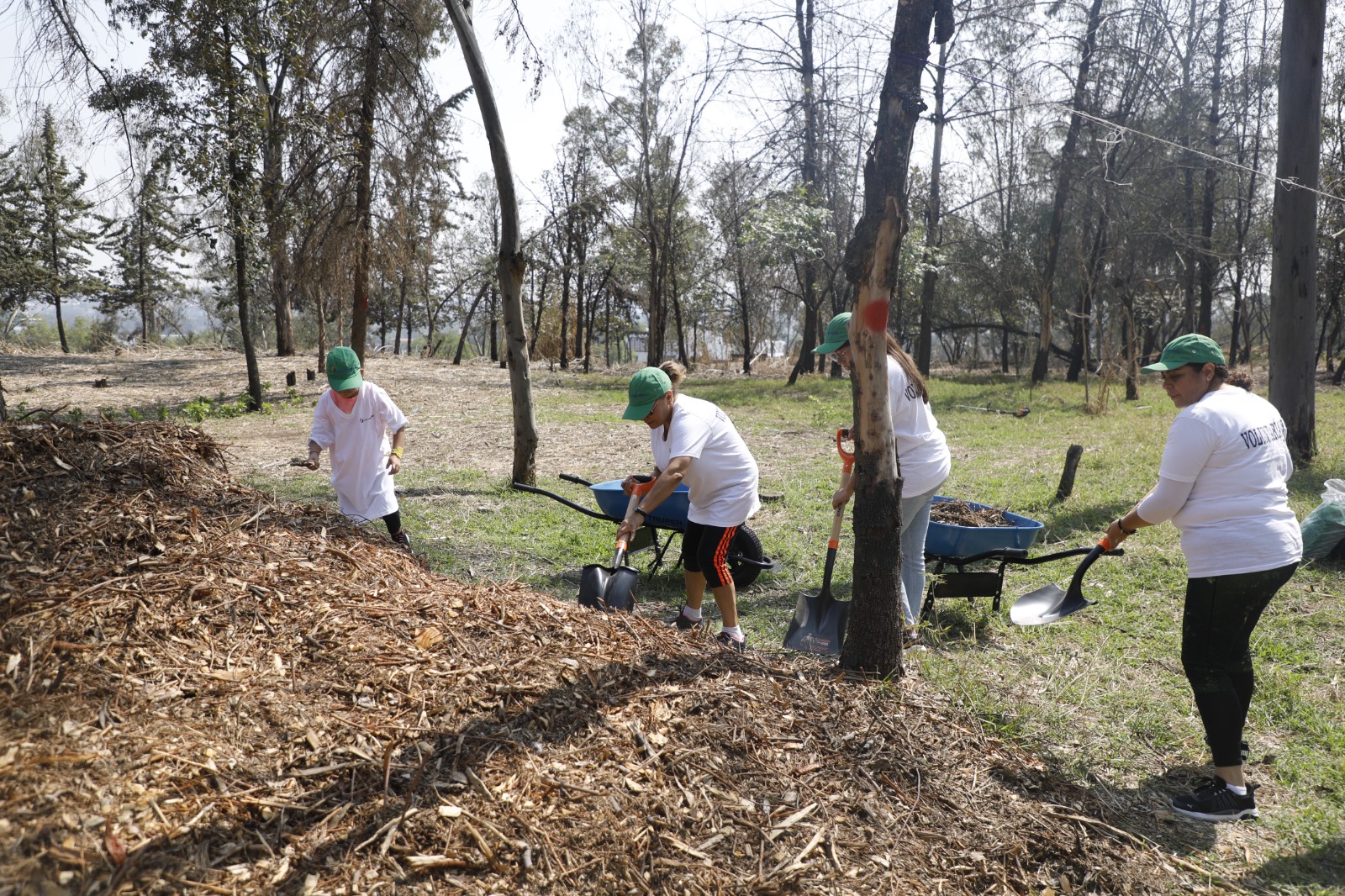 Vecinos y gobierno restauran Parque de la Hoja en Naucalpan