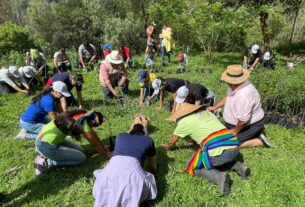Gran participación de ciudadanos en reforestación en Los Remedios
