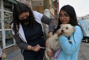 Vacunan contra rabia a perros y gatos en Huixquilucan