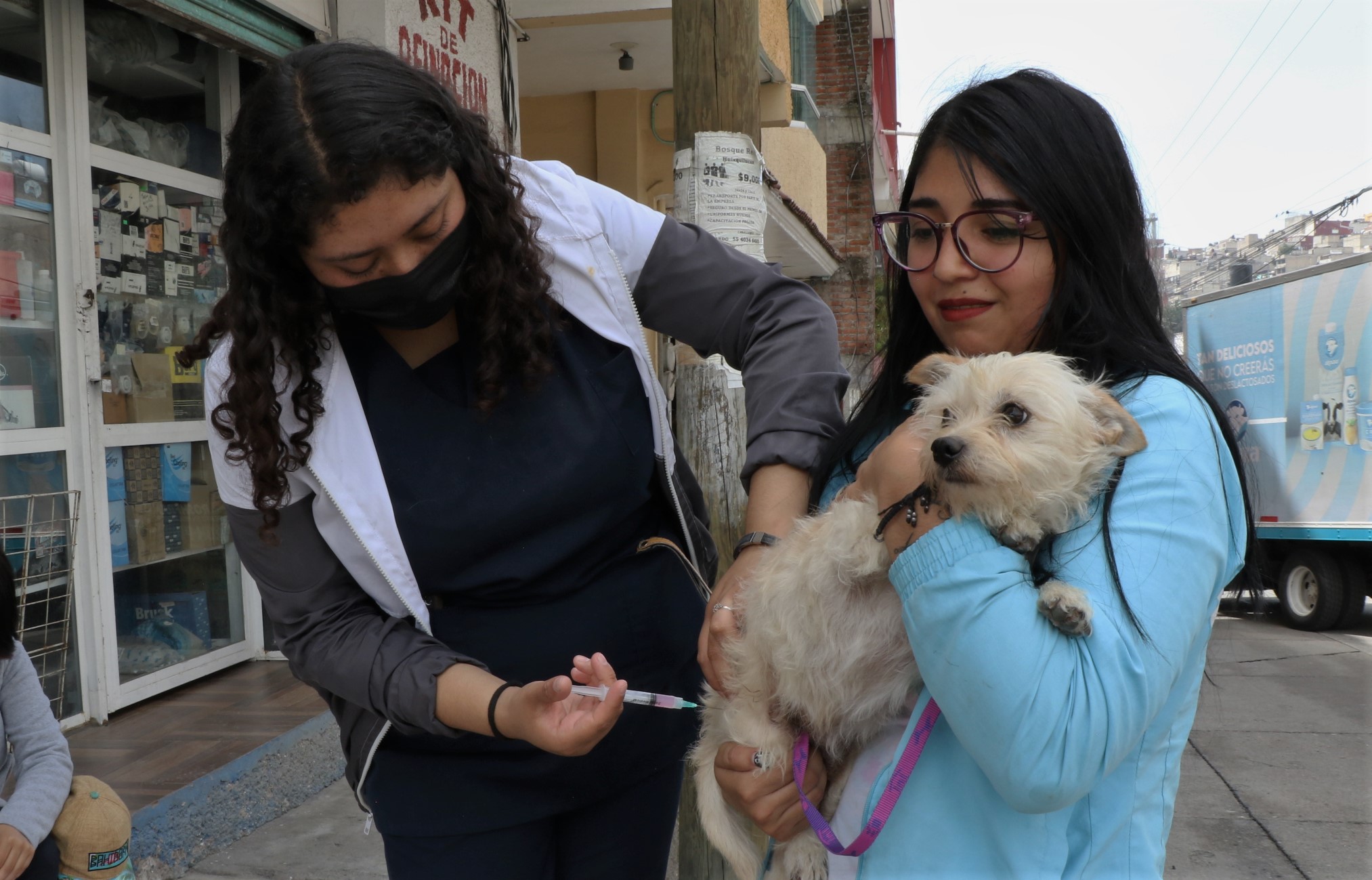 Vacunan contra rabia a perros y gatos en Huixquilucan