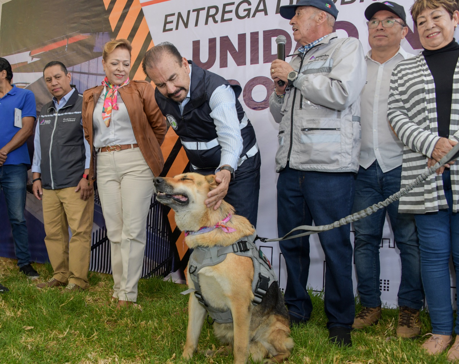 Animales cuentan con refugio, atención médica y alimentos en Atizapán de Zaragoza