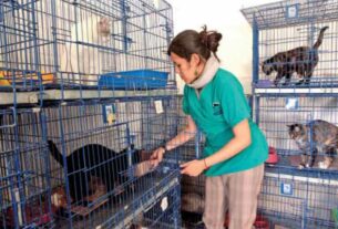 Advierten sobre maltrato y mercado negro con Ley de Protección Animal de la CDMX