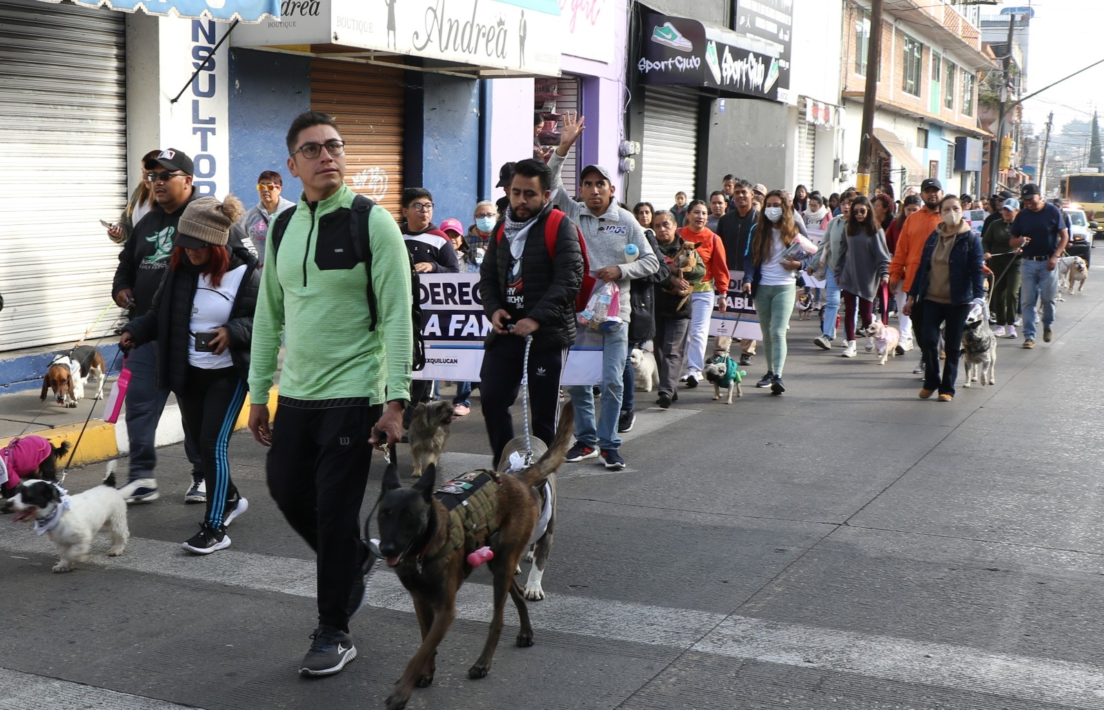 Familias con perros caminan en Huixquilucan por derechos civiles