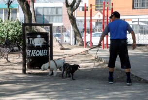 Tres espacios públicos hay en Naucalpan para perros