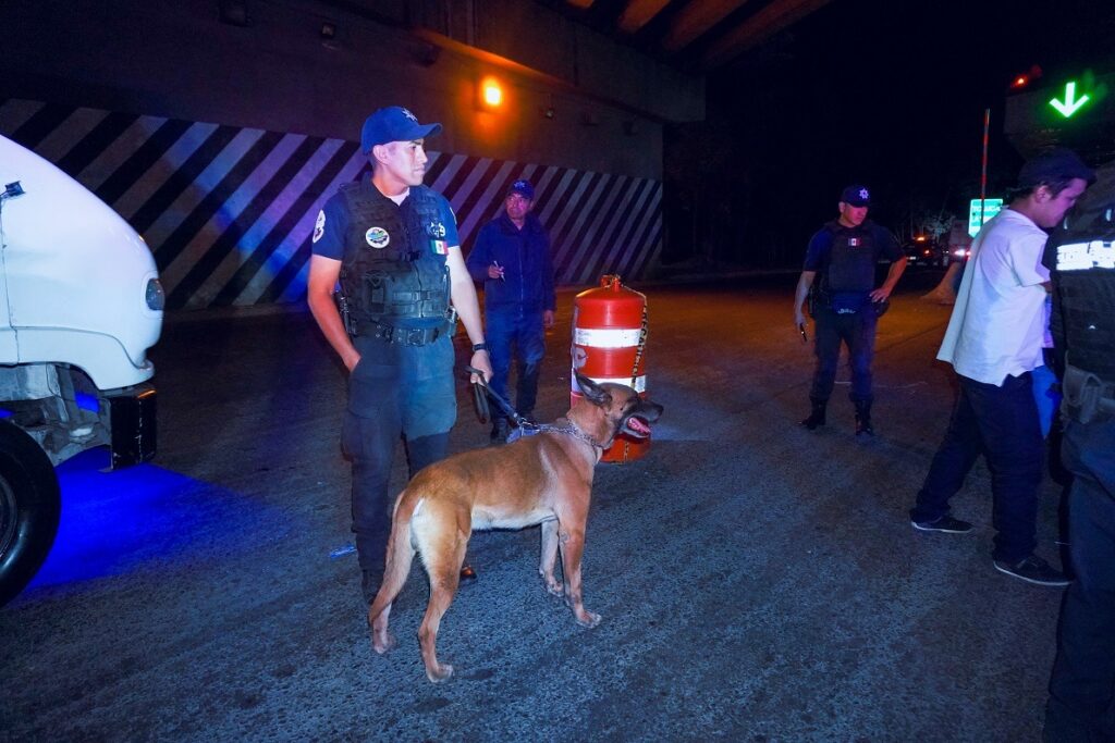 Binomios caninos en vigilancia coordinada con Guardia Nacional, Policías Estatal y municipales