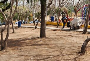 Limpieza de parques para recreación y ejercitamiento seguro