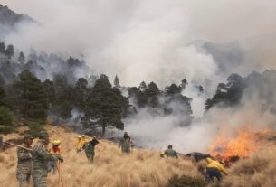 Incendio en el Izta Popo en 80 por ciento de control por brigadistas de dependencias y voluntarios