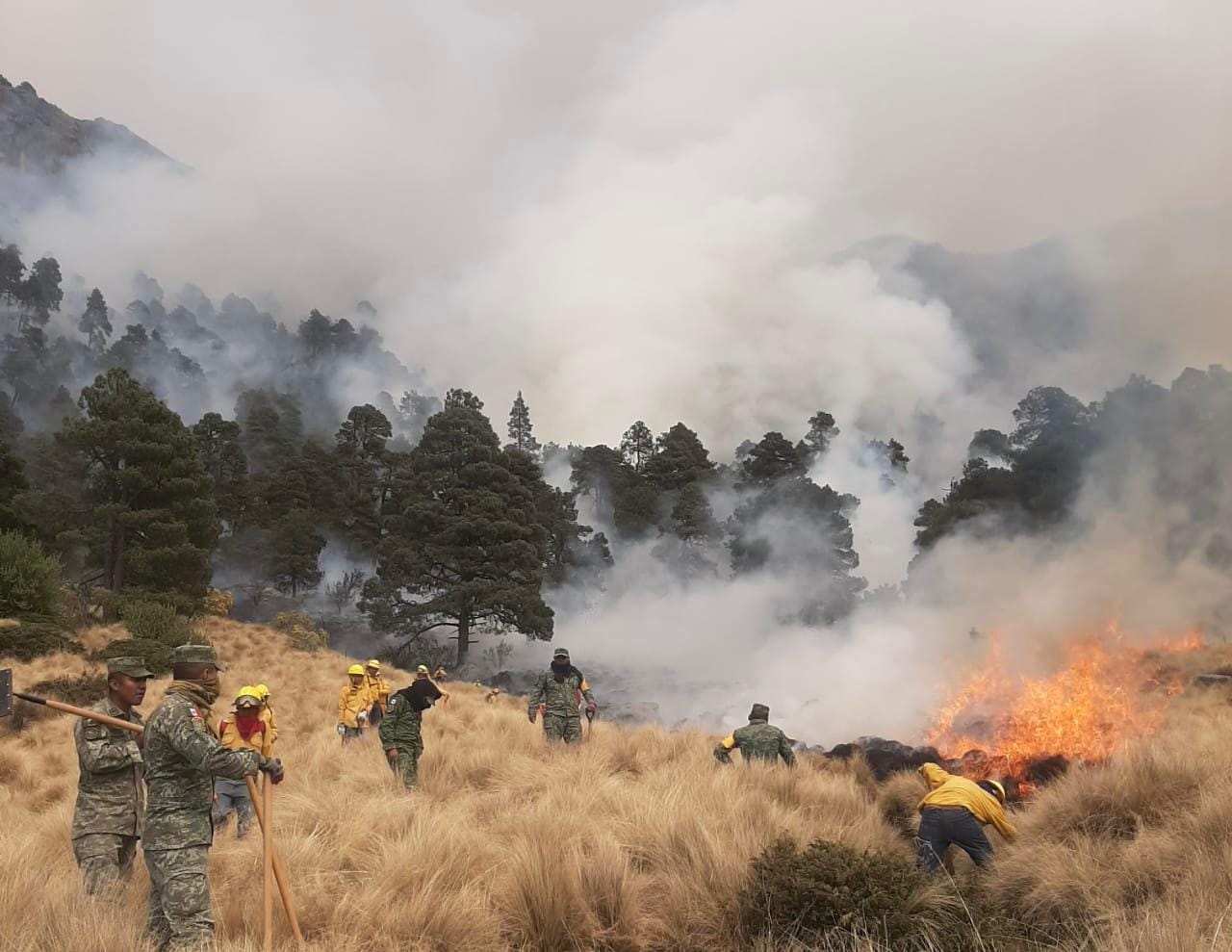 Incendio en el Izta Popo en 80 por ciento de control por brigadistas de dependencias y voluntarios