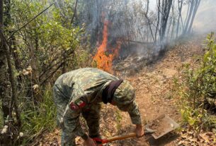 Atacan 10 incendios en Estado de México