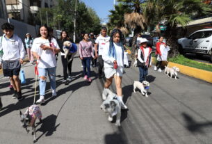 Familias y sus perros en marcha Dejando Huella por los Derechos Humanos