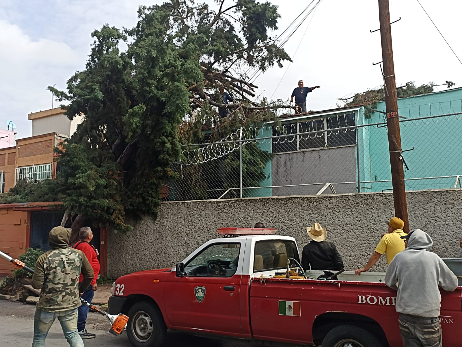 Un árbol cae sobre la escuela Ruinas de Bonampak en Naucalpan
