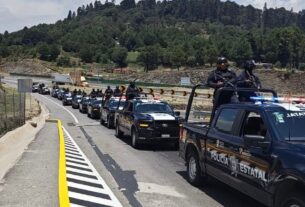 Gobierno de Naucalpan detiene desforestación clandestina