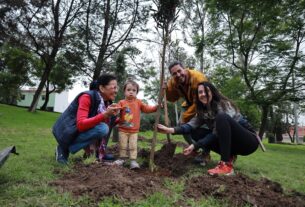 Reforestan bosques de Huixquilucan