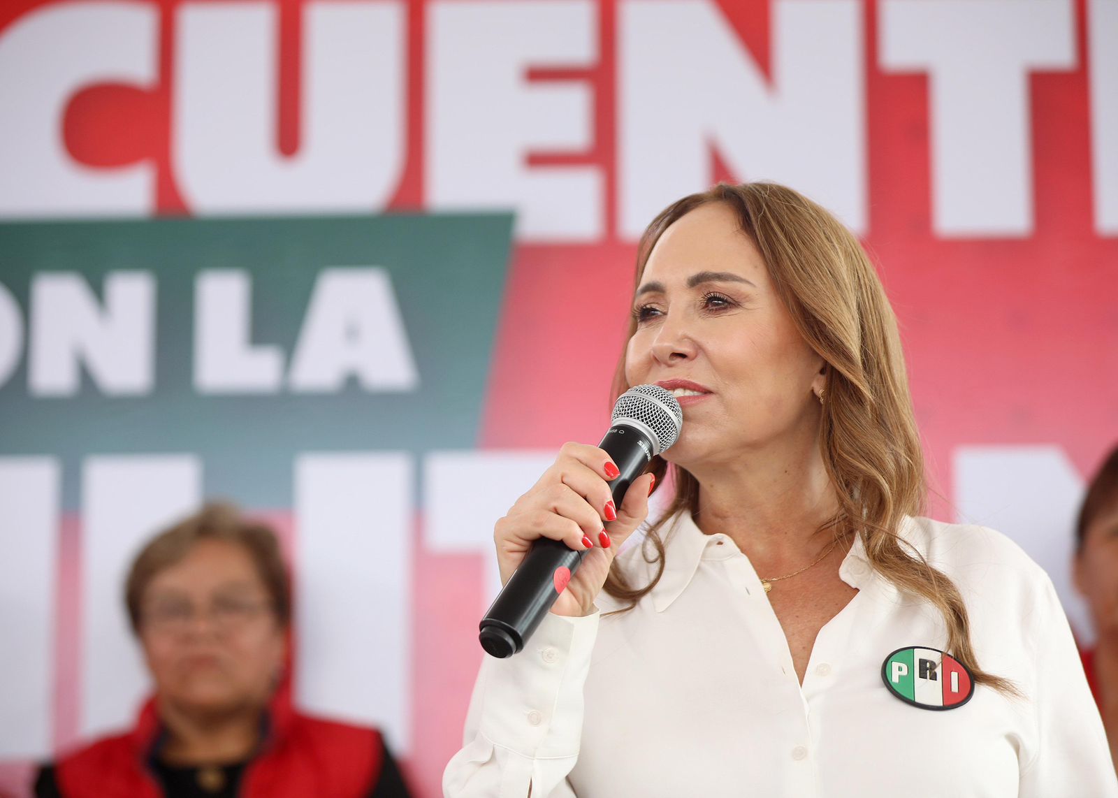 Cristina Ruiz Sandoval, PRI Estado de México contra reforma electoral de MORENA