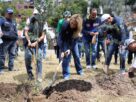 Reforestaciones, aplicación de cal y la construcción de un canal lleva a cabo gobierno de Huixquilucan para sanar presa El Capulín