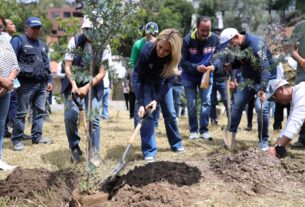 Reforestaciones, aplicación de cal y la construcción de un canal lleva a cabo gobierno de Huixquilucan para sanar presa El Capulín