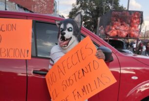 Vendedores de animales de mercado de Sonora en protesta por restricciones ilegales