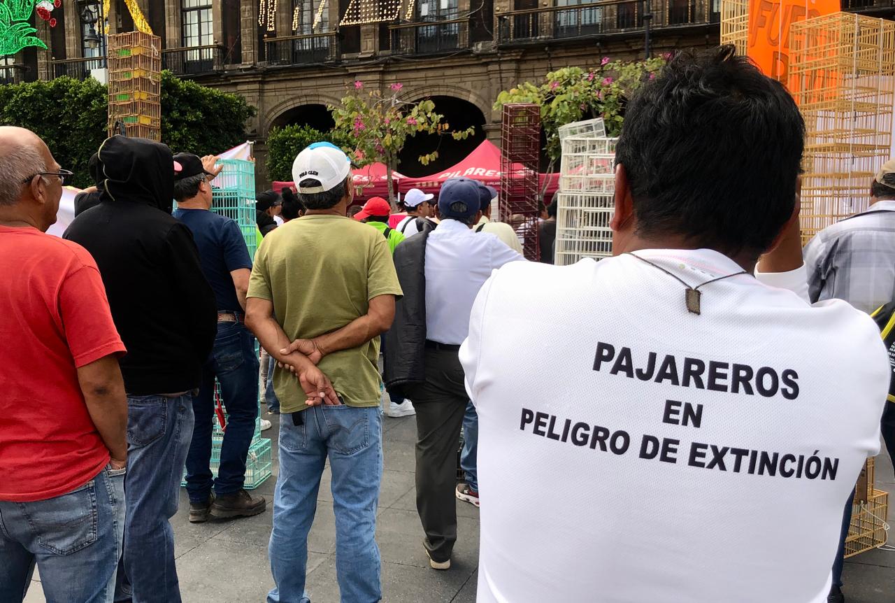 Comerciantes y profesionistas vaticinan maltrato y venta ilegal de animales con el cierre del mercado Sonora