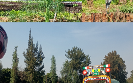 Xochimilco, diversión donde se lucha por preservar la vida