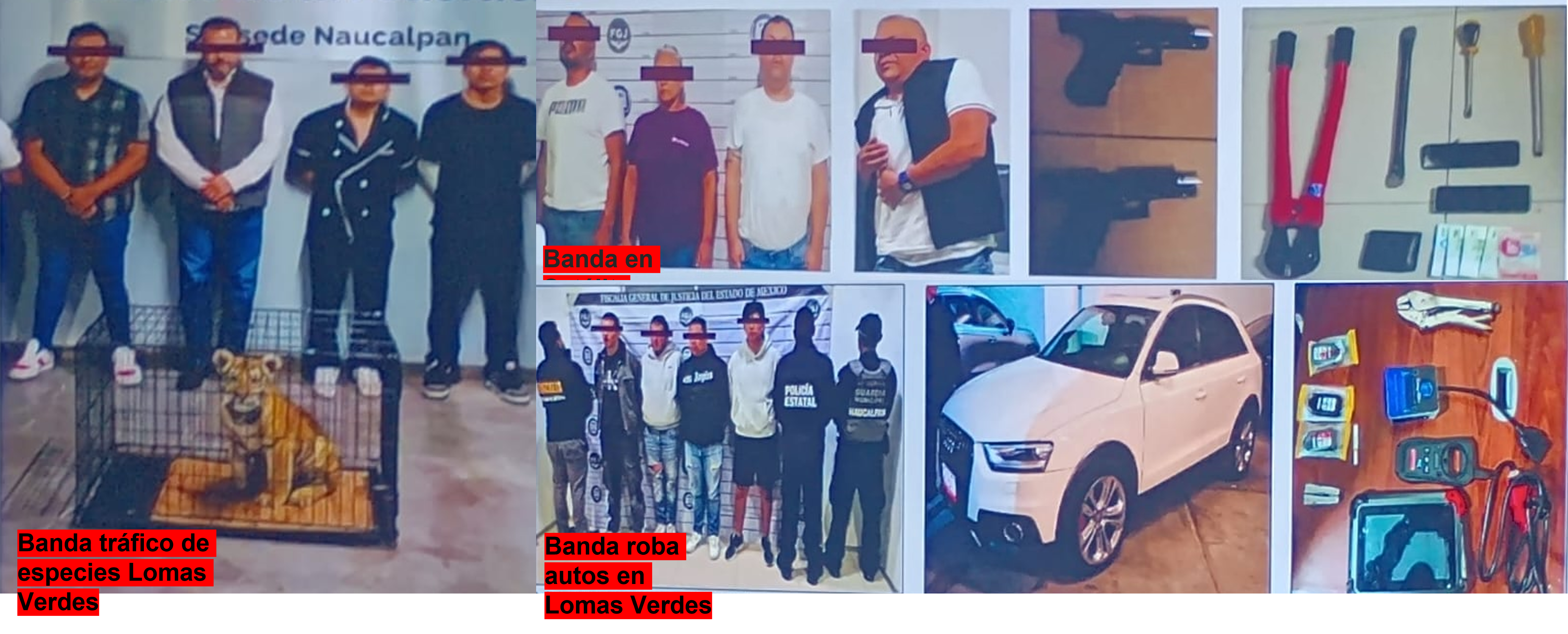 Bandas detenidas en Fraccionamientos de Naucalpan