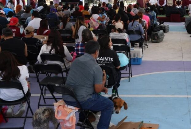 Dan servicios gratuitos para atender a mascotas en Tlalnepantla