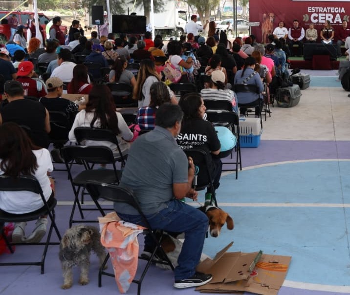 Dan servicios gratuitos para atender a mascotas en Tlalnepantla