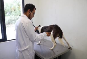 Rescatan animales que no recibían atenciones en Atizapán de Zaragoza