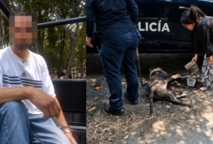 Detenido por golpear perro en Tlalnepantla